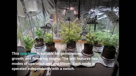 Sonlipo Newest LED #GrowLight 2000W Full Spectrum with-Overview