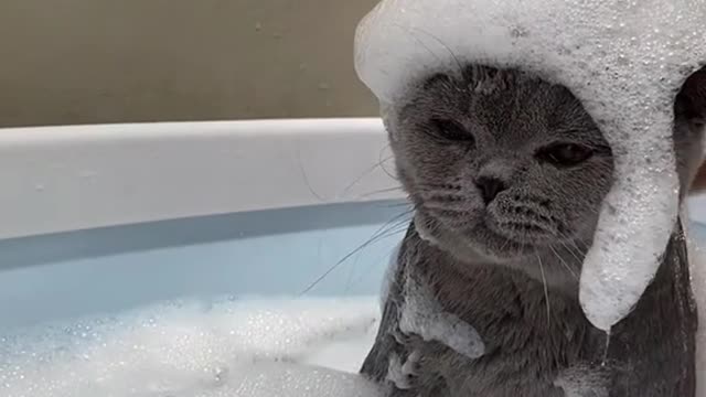 I'll take a shower first so it smells good