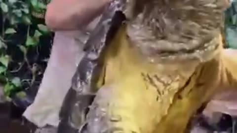 funny,sea, fish, video