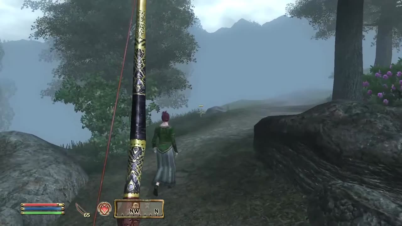 Elder Scrolls 4: Oblivion - Part 13