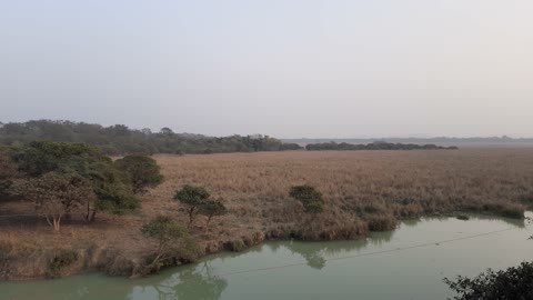 Pobitora Landscape