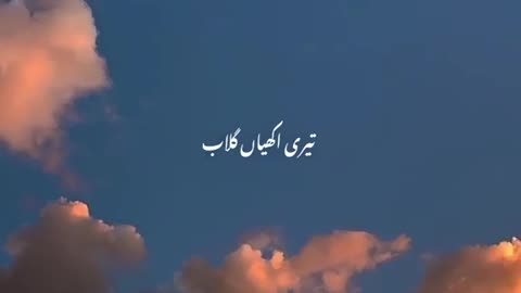 Akhiyaan Gulaab♥️