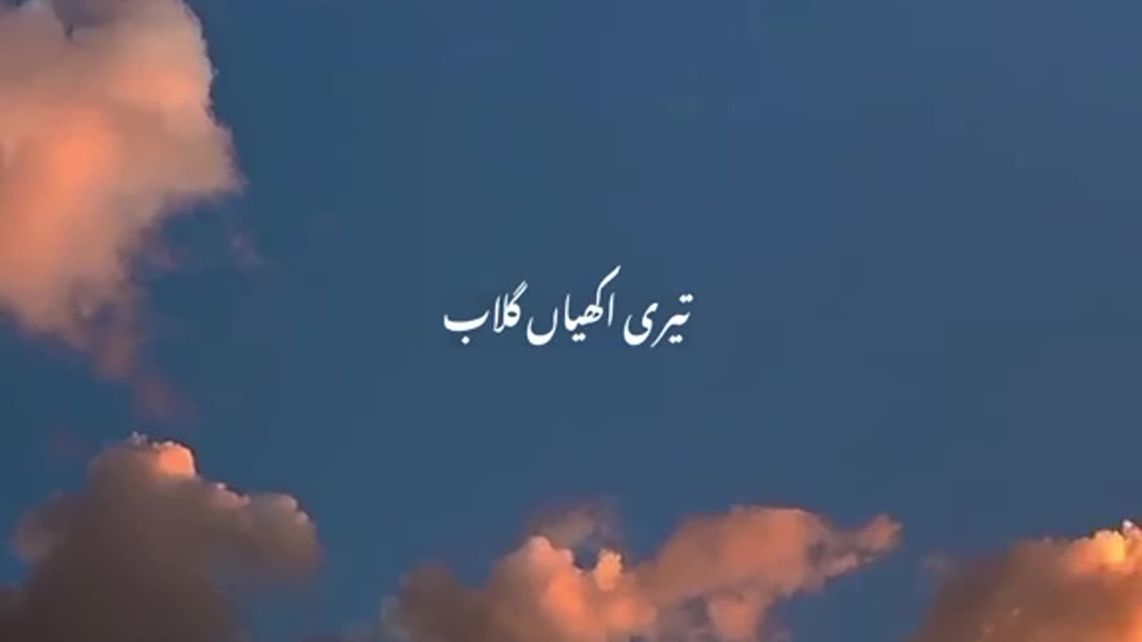 Akhiyaan Gulaab♥️