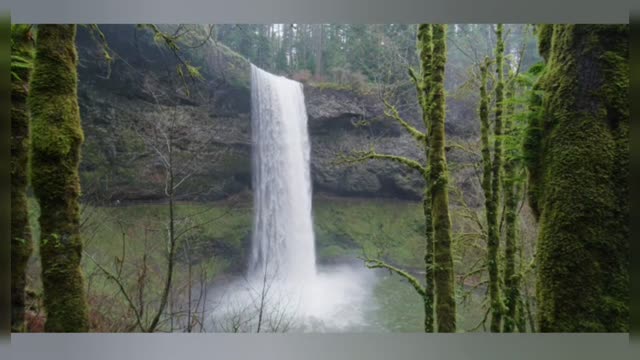 How nature calms your mind