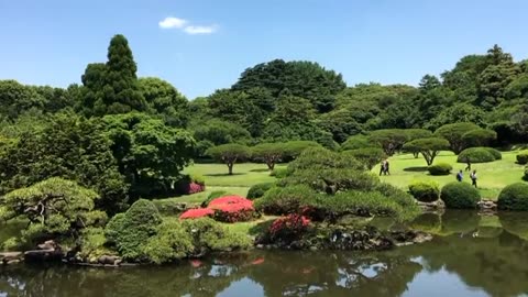Relaxing Music | Sleeping, Meditation, Stress Relief | [7075] ⭐️