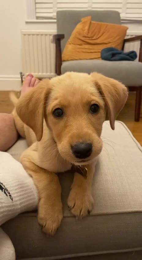 So cute I want to bite you 🤣