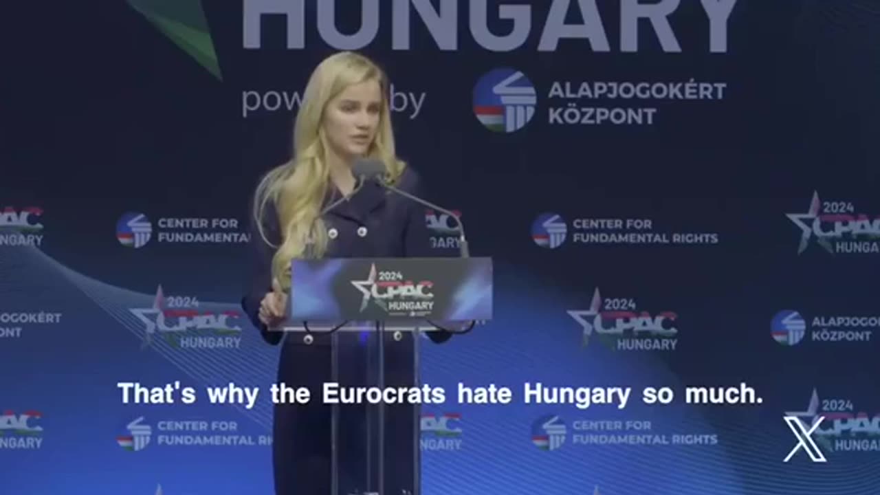 Eva Viaardinggerbroek - The Great Replacement, summed up in <13 minutes