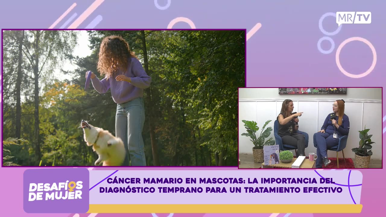 DESAFIOS DE MUJER 03/10/2024