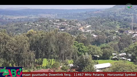 Oduu Ganama ONM-ABO Fulbaana 24-2024 itti dhiyaadhaa!