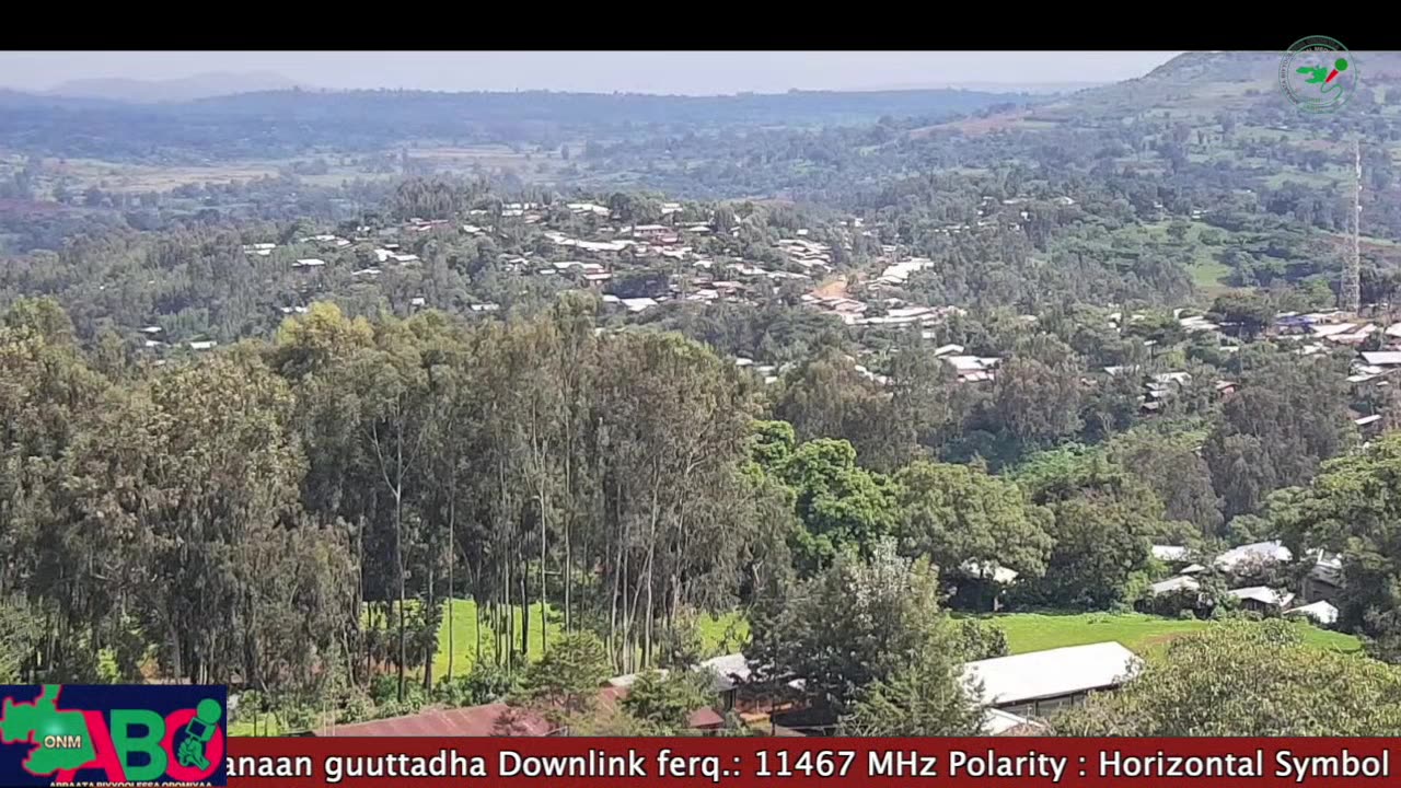 Oduu Ganama ONM-ABO Fulbaana 24-2024 itti dhiyaadhaa!