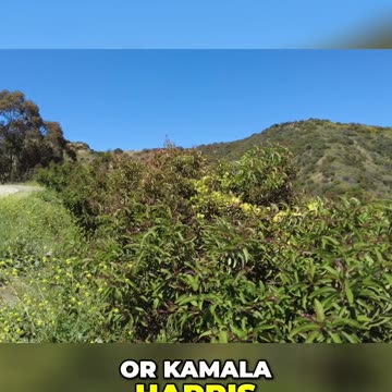 The Power of Personalization: Choosing the Best Leader for Different Situations