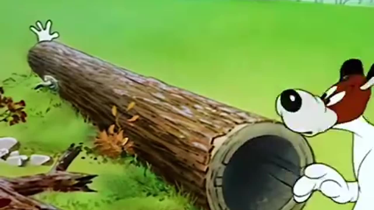 😂 😂 .