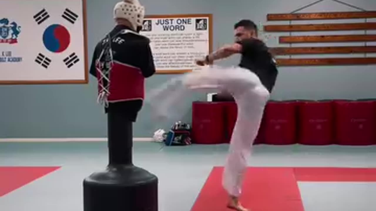 Taekwondo