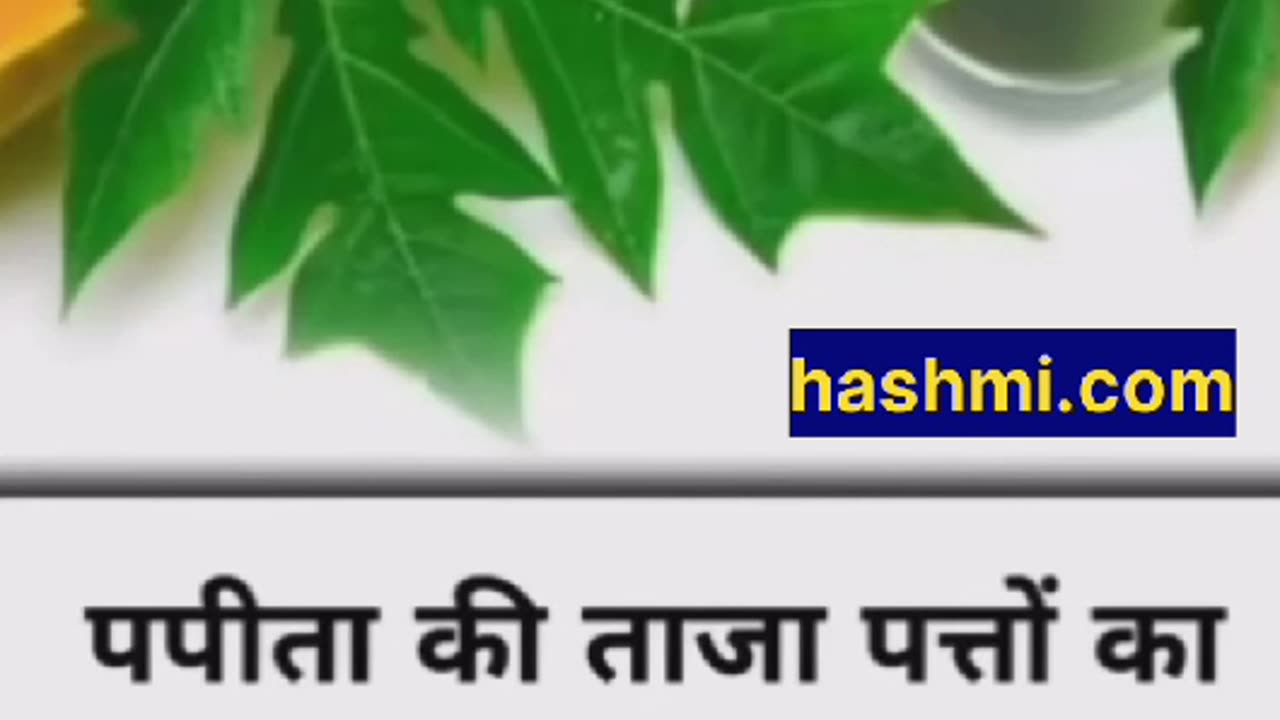 पपीता की ताज़ा पत्तो का रस