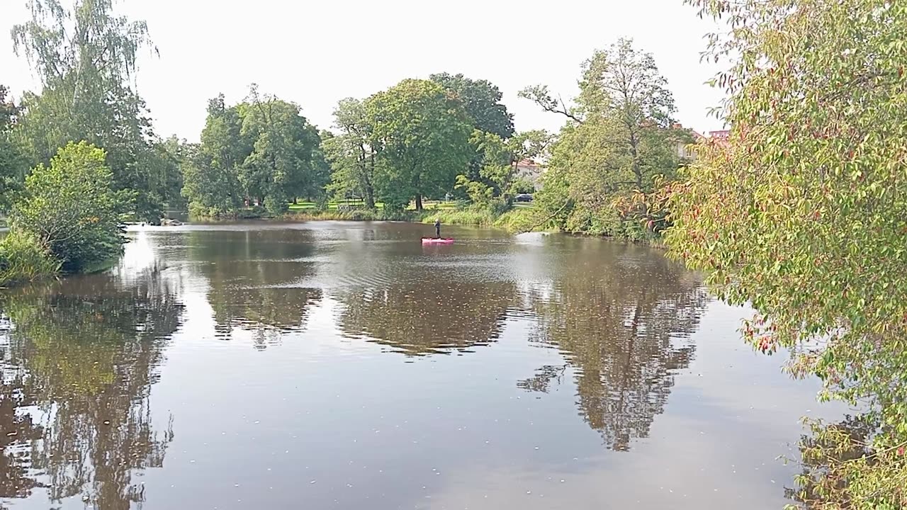 Svartån i Örebro 29 Aug. 2024