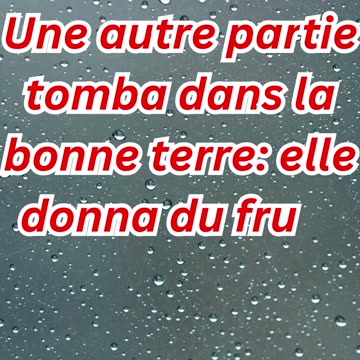 "Le Grain Qui Porte du Fruit en Abondance" Matthieu 13:8.#short #youtubeshorts #ytshorts #shortvideo