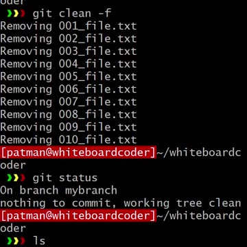 git clean