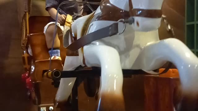 Horse playing