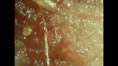 Banned video. Is this a test or?