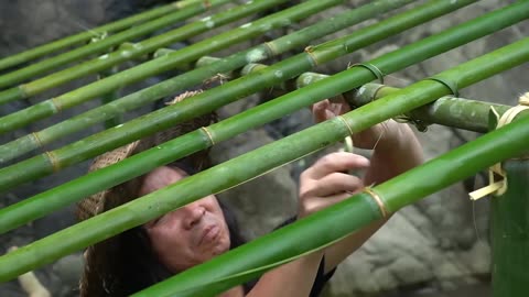 bamboo house building, fishing cooking in the rainforest - survival alone