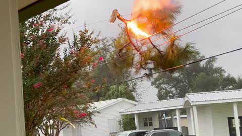 Branch Caught in Electrical Wires Catches Fire