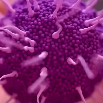 The formation of a human. Out of 5 millions cells, only 1 cell survives.