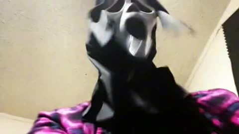 Can I pet that dawwgg