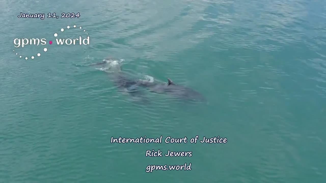 International Cout of Justice