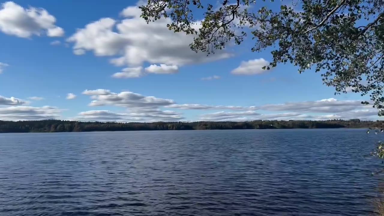 The Lake