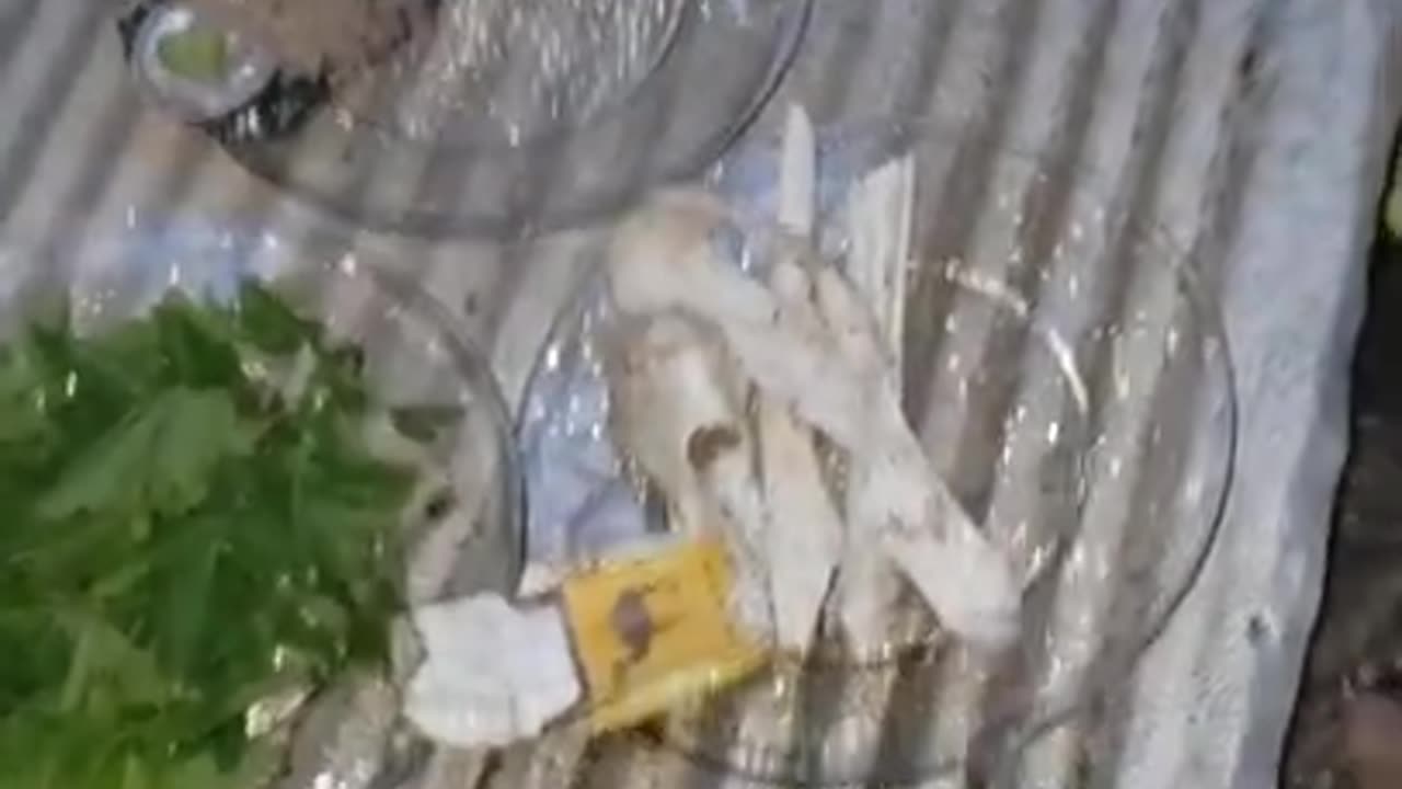 sinister snack