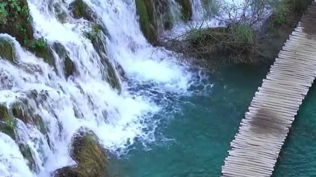 Plitvice National Park #croatia #travelshort #shorts