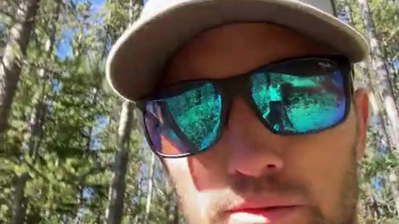 the difference between a woman and a horse