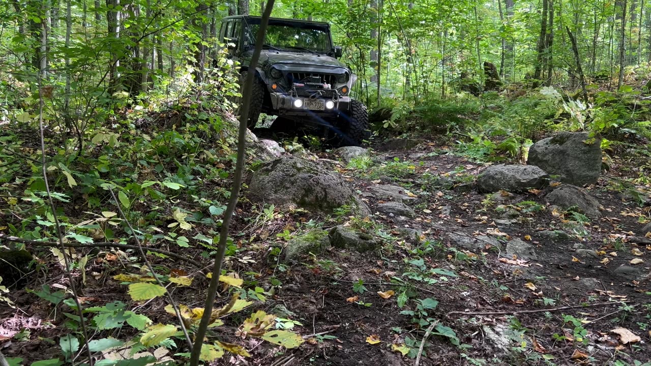 Jeeps riding the trails up north