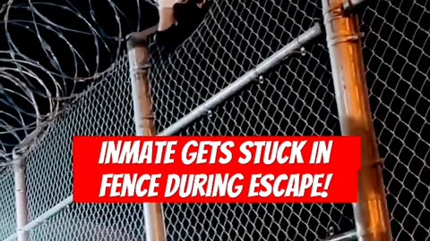 STUPID IDEAS - PRISON ESCAPE ATTEMPTS