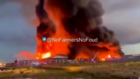 Millions of Chickens Killed in 5-Alarm Fire at Farina Farms Inc. in Illinois..mp4
