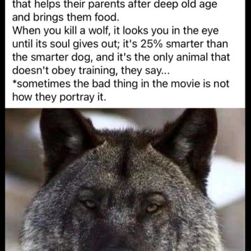 The Truth About Wolves.