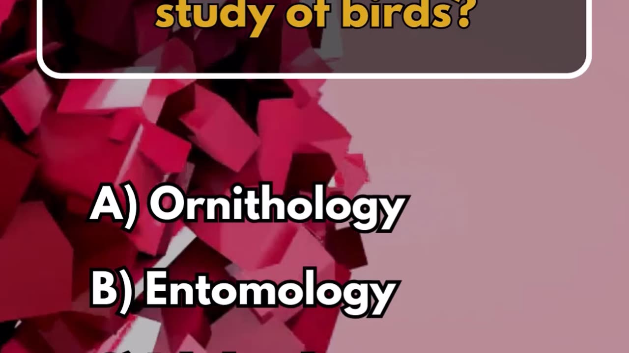 What branch of zoology focuses on the study of birds?