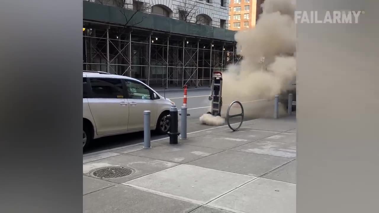 No one could believe it if it were not caught on camera
