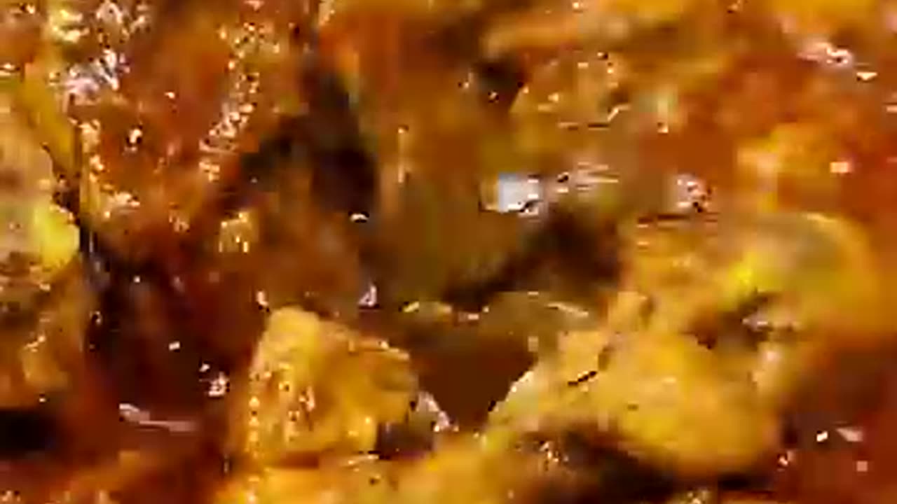 Fish fry curry cooking recipe