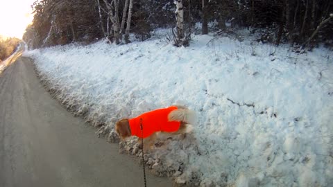 December 2nd, 15º short walk South today. Flynn did the deed last night.