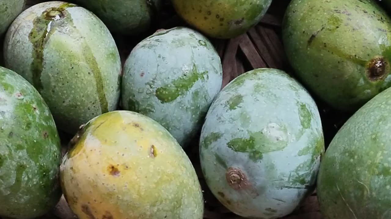 Mango ðŸ¥