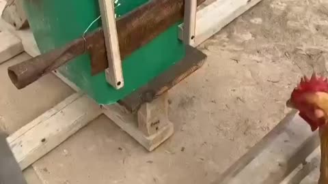 Enter At Your Own Risk