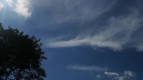 Sometimes Innocent Men Have To RUN / FLY