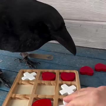 A Smart Raven wins Tic-tac-toe