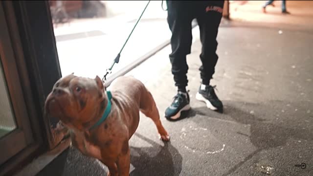 SmuggzyAce - Born 2 Drill