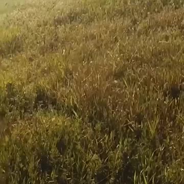 Archival footage of the landing of Ukrainian soldiers on Zmiiny Island 🇺🇦