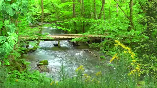 Music to Meditate and Relax with Sounds of Creek and Nature - Calm the Thoughts