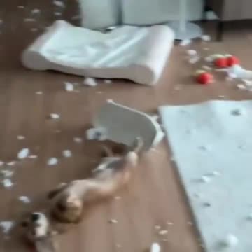 It wasn’t me honest 🤣