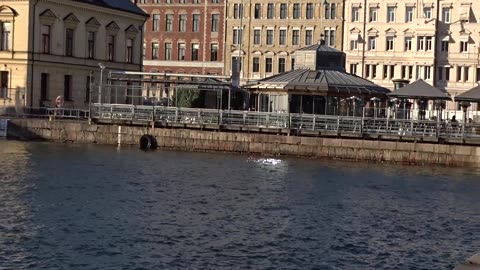 Vid Kungstorget, Helsingborg 29 Okt. 2017