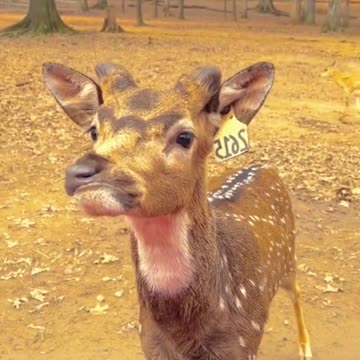 reason to smile because we already have to cry 20